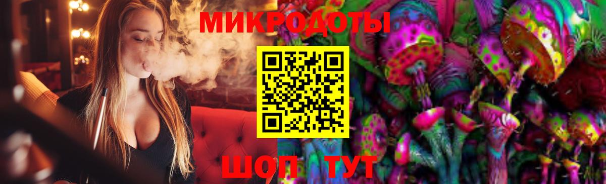 Галлюциногенные грибы Psilocybine cubensis Железногорск